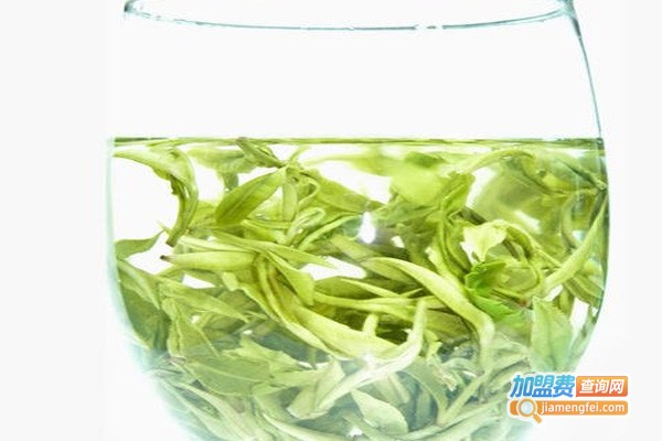 东狮茶叶加盟费