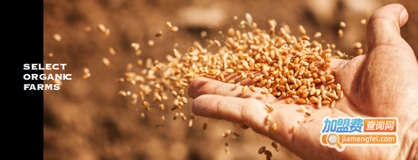 早客包子加盟费