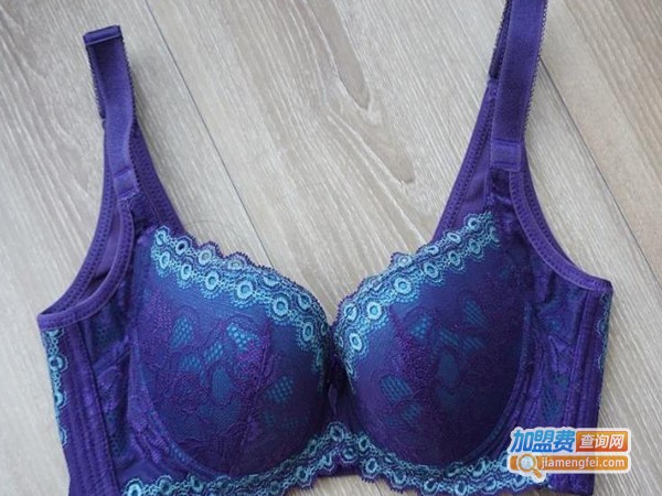 莉莉安内衣加盟费