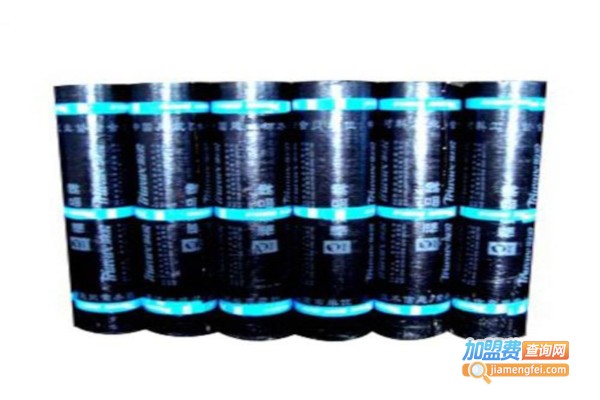 铜浪涂料加盟费