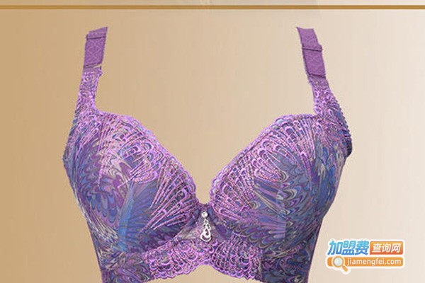 美丽诗内衣加盟