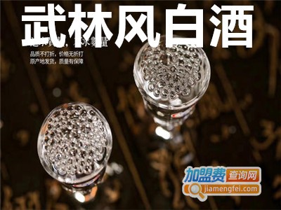 武林风白酒加盟费