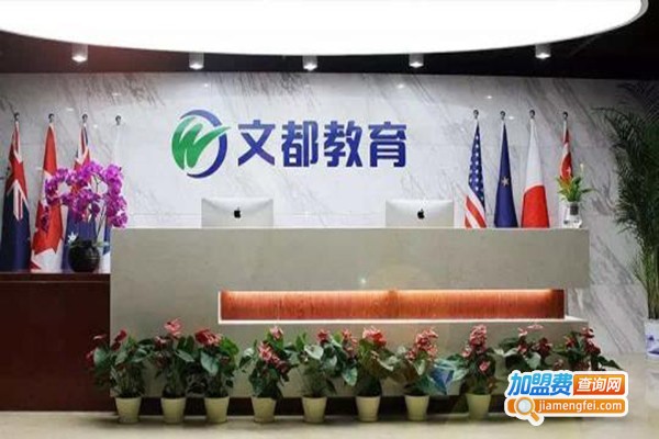文都国际教育加盟费