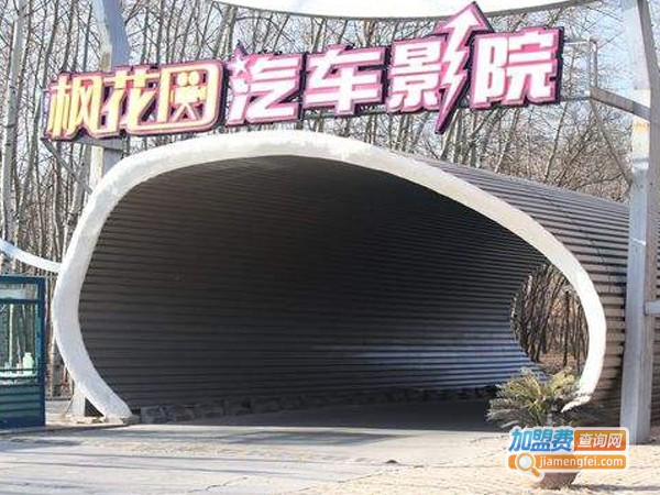 枫花园汽车影院加盟费