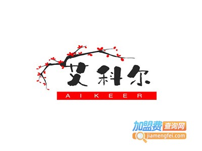 艾科尔视力加盟费