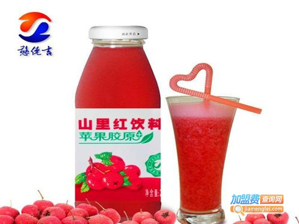 憨佬吉果醋加盟门店