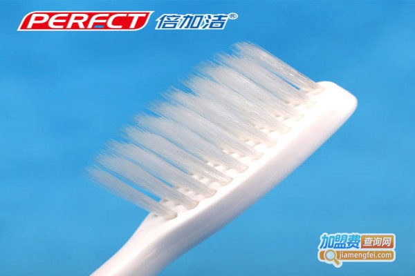 倍加洁牙刷加盟费