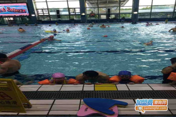 蓝豚游泳俱乐部加盟费