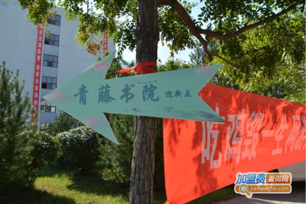 青藤书院加盟费