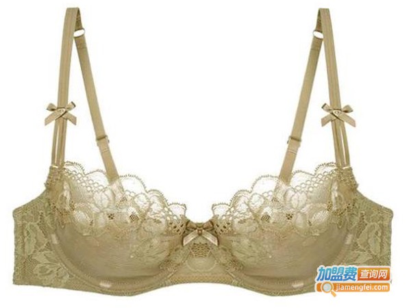 莉莉安内衣加盟费