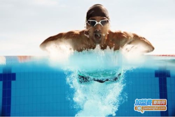 蓝豚游泳俱乐部加盟费