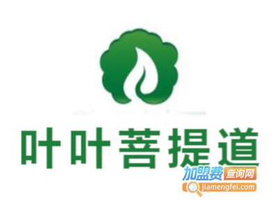 叶叶菩提道加盟费