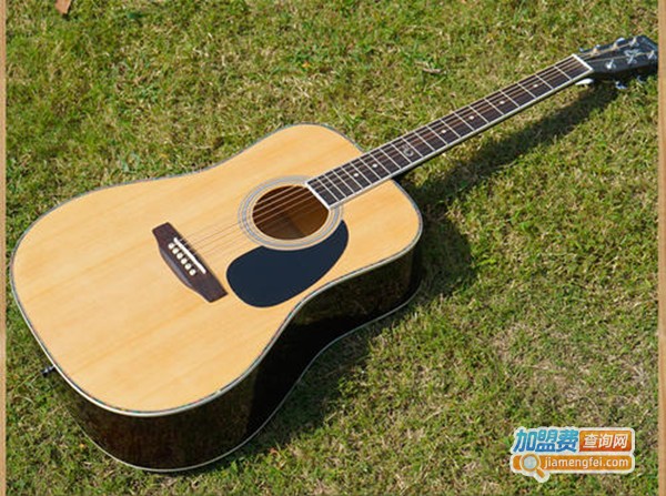 凤灵吉他加盟费