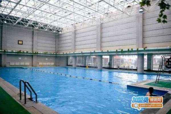 蓝豚游泳俱乐部加盟费