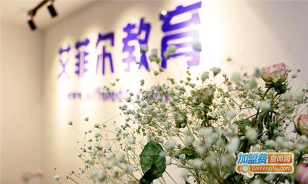 艾菲尔法语加盟费