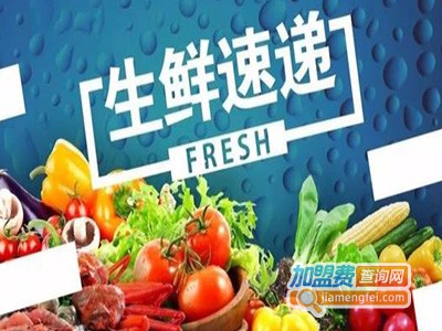 阿甘生鲜加盟费