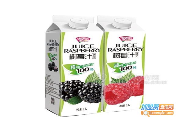 津思味树莓汁加盟费