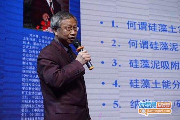 郑水林硅藻泥加盟费