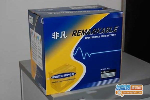 非凡电瓶加盟费