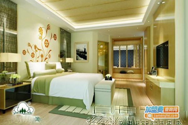 郑水林硅藻泥加盟费