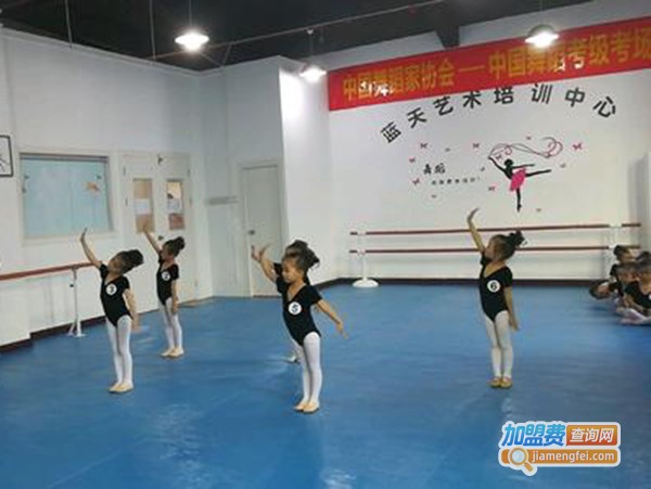 蓝天艺术培训中心加盟