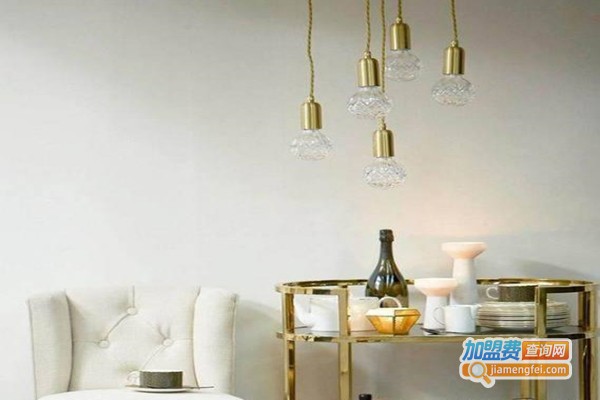 骄子灯饰加盟门店