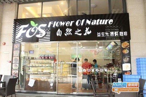 自然之花果糖加盟费