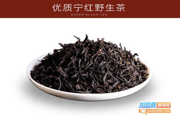 宁红茶叶加盟费