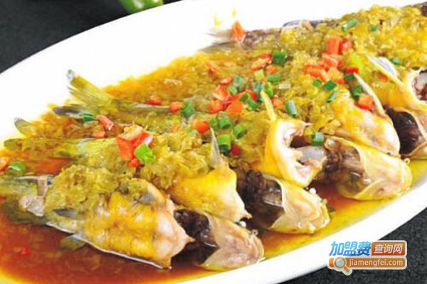 人鱼座胶原黄骨鱼加盟门店