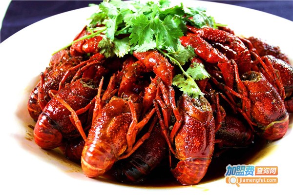 龍滋鲜鱼捞加盟费