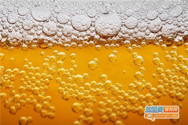 雪夫啤酒加盟费