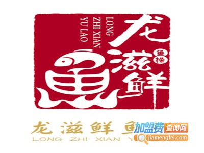 龍滋鲜鱼捞加盟费