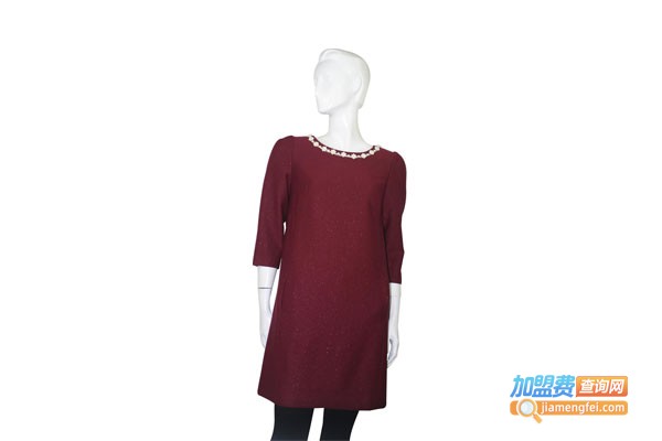 维尔金娜加盟费