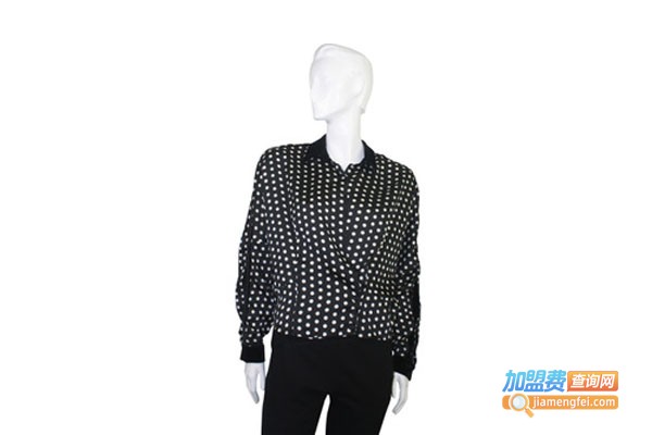 维尔金娜加盟费