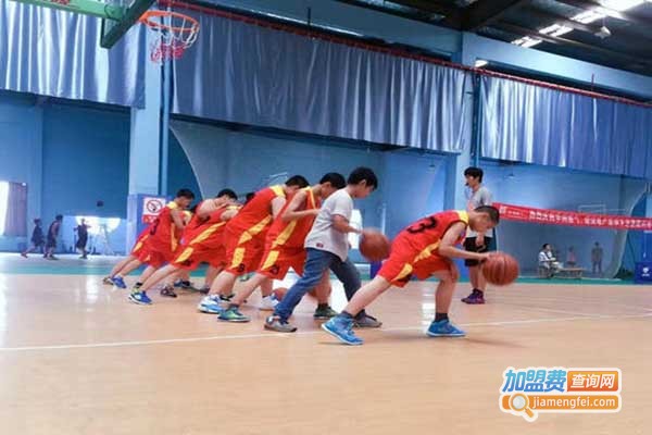 球行天下体育培训