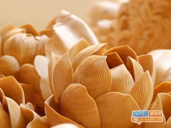 巨匠神工木雕加盟费