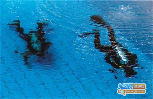 快乐比尔水中感统训练中心加盟费