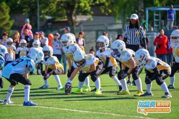 球行天下体育培训