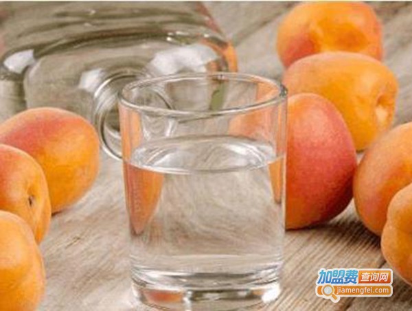 红杏花坛白酒加盟费