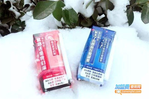 zuo风味酸奶加盟费