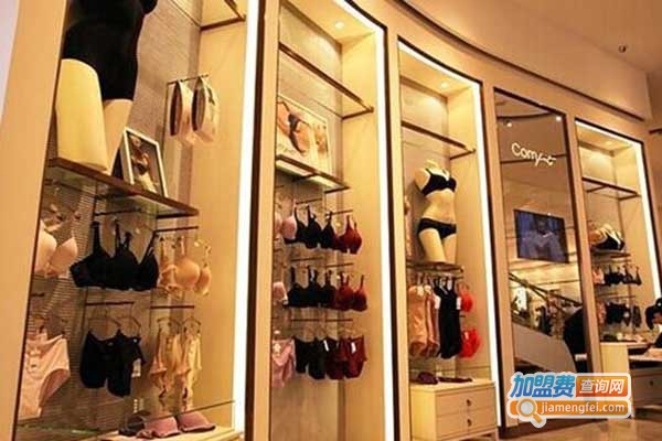 诺丽王内衣加盟门店