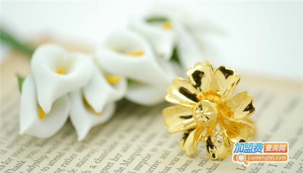 依韩饰品加盟费