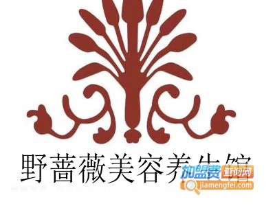 野蔷薇美容养生馆加盟