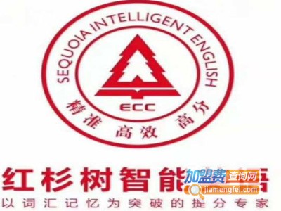 红衫树教育加盟费