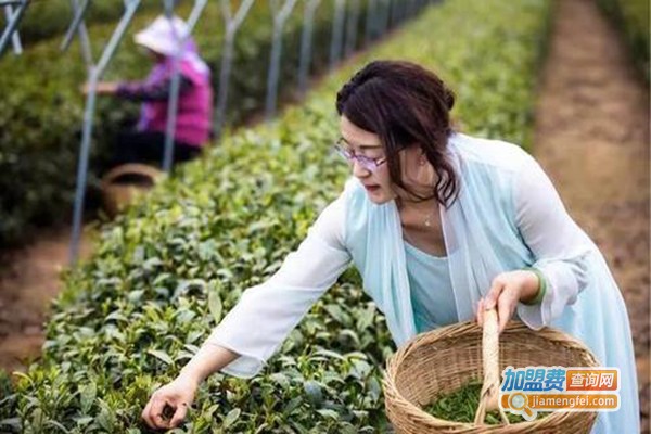 四月の茶加盟门店