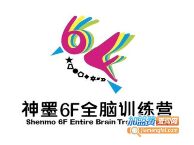 6f全脑训练加盟费