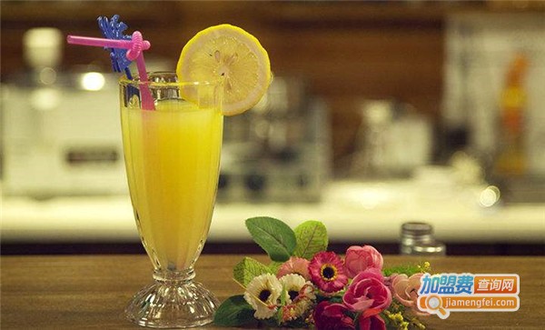 果然汁己饮品加盟费