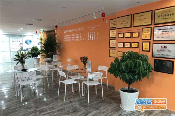 明灯国际教育加盟费