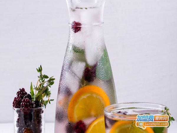 颐萃混合果汁饮料加盟门店