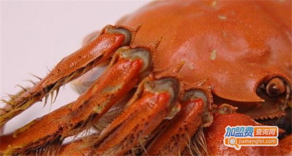 光头蟹馆加盟费